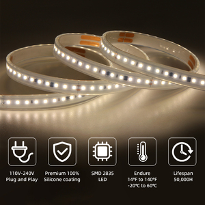 Striscia LED Flessibile Sottile Super Luminosa 24V 2216, 180 LED, Luci a Nastro LED IP68, Vendita all'Ingrosso - Product Image 5