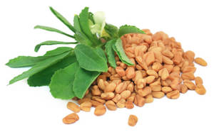 Graines de fenugrec d'origine indienne 100% biologiques sans résidus de pesticides de haute qualité Superaliment naturel pour la digestion et la cuisine 2 ans - Product Image 2