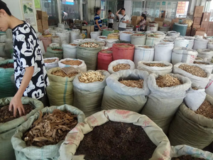 Poivre de chanvre vert séché poudre entière herbe épice traitement brut exportation - Product Image 5