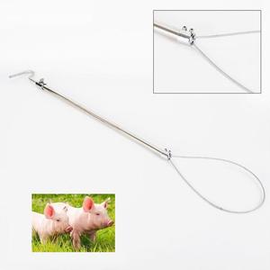 Soporte para cerdos de 65cm de longitud, mango largo, soporte para cerdos de acero inoxidable, agarre de goma para cerdos, instrumento veterinario duradero - Product Image 3