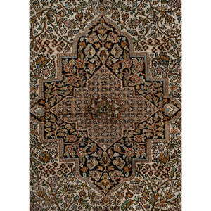 Tapis en soie noué à la main Gulmarg Pae-6461, épaisseur 10 mm, avec motif rectangulaire Aubusson à médaillon, idéal pour l'entrée de la maison ou le salon des adolescents - Product Image 3