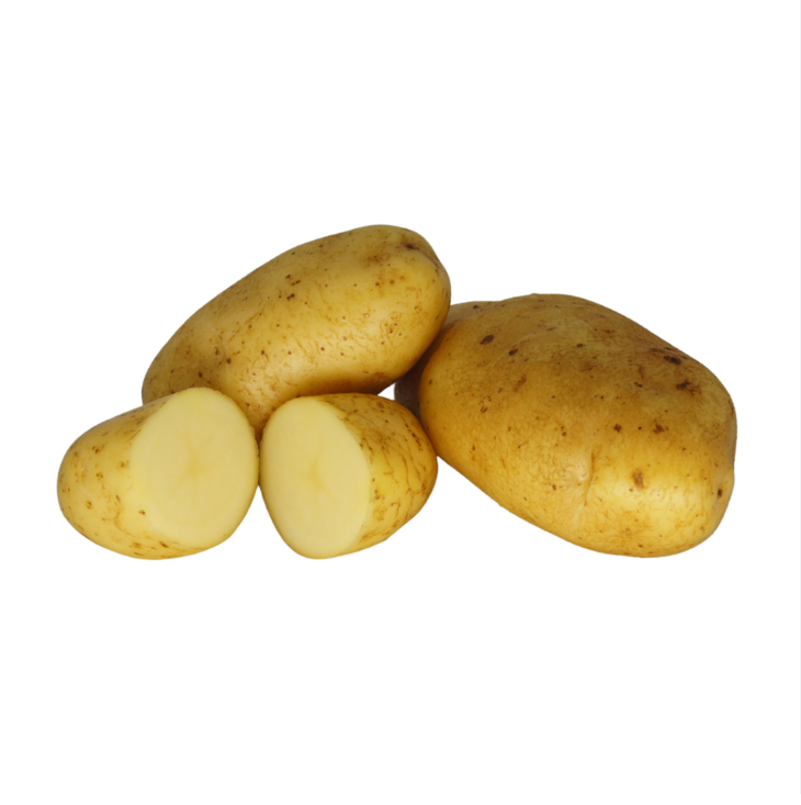 Large Fresh Potato High Quality Fresh Organic Sweet-Tasting Fresh Potatoes for Sale Fast Delivery Available Now