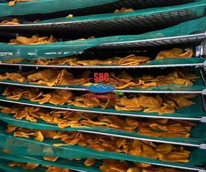 Mangue séchée molle du Vietnam de qualité exportée à base de mangues mûres sans agent de conservation adaptée aux consommateurs soucieux de leur santé - Product Image 3