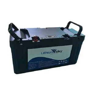 Wholesale Price Kepworth Lifepo4 Deep Cycle Car Battery 12v 50Ah 60Ah 90Ah 100Ah Automotive Battery