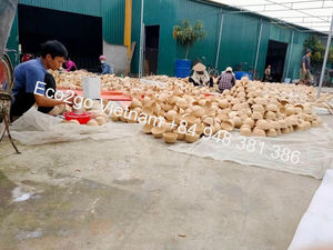 Hot Sale 2026!! Natural <b>Bamboo</b> <b>Bowl</b>/ <b>Bamboo</b> Baby <b>Bowl</b>/ <b>Bamboo</b> Suction <b>Bowl</b> Made in Vietnam - Product Image 2