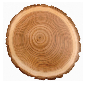 Natural Teak Hardwood Logs Round Dried Timber for Sawmill Processing and Wood Industry Supply - Product Image 2