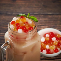 Perles éclatantes arc-en-ciel de qualité supérieure, garantie qualité, perles pour bubble tea TeaZone B2070 en pot