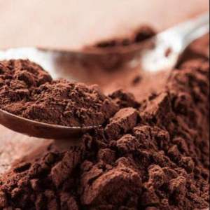 Cacao alcalinizado en polvo de Vietnam: Tono rico, baja acidez, alta mezclabilidad, preferido en mezclas de panadería, helados y salsas - Product Image 4