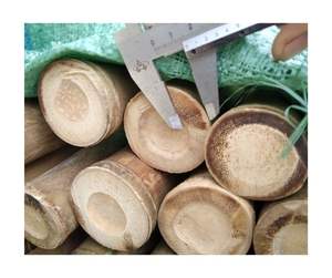 Poteau de canne en bambou naturel écologique produit de haute qualité en gros Vietnam usine fournisseur d'exportation directe - Product Image 6