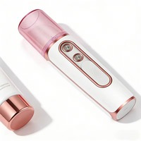 Vaporizador Facial USB, Mini Humidificador, Nebulizador, Vaporizador Facial, Instrumento de Belleza Hidratante, Herramienta para el Cuidado de la Piel Facial, Metal Nano