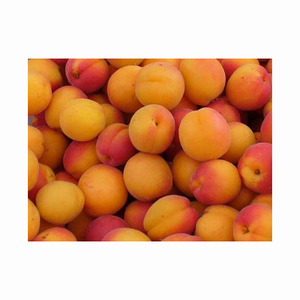 Abricots secs entiers de qualité supérieure, grade A, 25 kg, emballés en vrac, avec processus de séchage AD pour la conservation de l'eau - Product Image 6