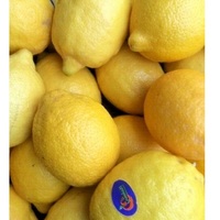 Oranges fraîches biologiques Citrons verts Agrumes frais de qualité supérieure goût sucré