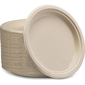 Bán Buôn Sinh Thái Thân Thiện Phân Hủy Sinh Học Mía Bã Mía Bột Giấy Bộ Đồ Ăn Dùng Một Lần Đồ Ăn Và Bộ Đồ Ăn - Product Image 5