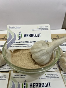 Meilleure vente de poudre d'ail frais déshydraté de qualité alimentaire pour une bonne santé disponible au prix de gros pour l'exportation depuis l'Inde - Product Image 2