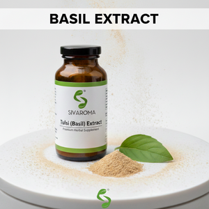 Poudre d'extrait de Tulsi (basilic) sauvage de qualité assurée pour les acheteurs en gros dans les industries botaniques et végétales - Product Image 3