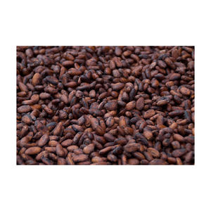 Fèves de cacao ARIBA de qualité supérieure, traitement naturel hollandais, qualité supérieure, origine Afrique du Sud, durée de conservation de 2 ans, emballage personnalisé de 5 kg - Product Image 3