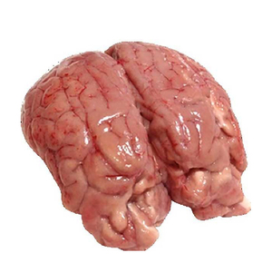 Fourniture en gros d'usine Boef Brain Hot Price - Product Image 4