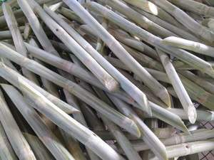 IQF อ้อยแช่แข็งแบบธรรมชาติ, น้ำอ้อยหวานแช่แข็งน้ำอ้อยหวานอร่อยสำหรับดื่ม - Product Image 2