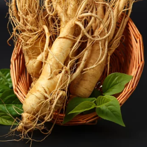 Ampolla de refuerzo de ginseng Premium ODM / OBM desarrollada y formulada en Corea Ginseng coreano antienvejecimiento - Product Image 6