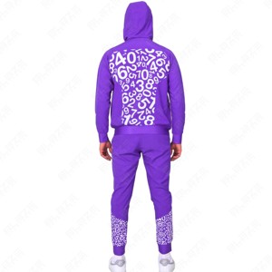 Ensembles de survêtements d'hiver à capuche personnalisés en gros 100% coton respirant à séchage rapide Fitness Sport - Product Image 3