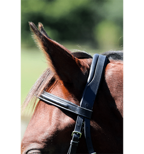 Joya Snaffle Brides Élégantes Options de cuir confortables et élégantes pour l'équitation quotidienne et la compétition avec votre cheval - Product Image 3