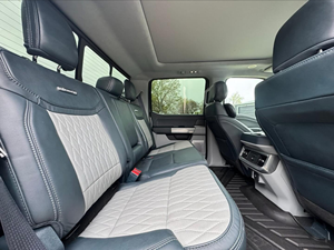 คลีน ไททัล 2024 สำหรับ ดีเอฟ450 ลิมิเต็ด 4x4 - Product Image 5