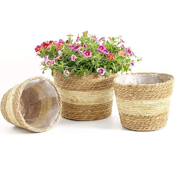 ตามที่แสดง