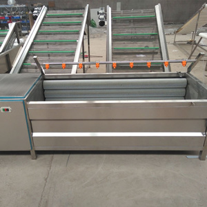 Lavadora de repollo profesional con certificado CE - Product Image 3