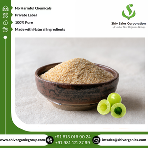 100% pur et naturel qualité supérieure Amla extrait de plantes poudre prix de vente faible approvisionnement en vrac du fournisseur - Product Image 6