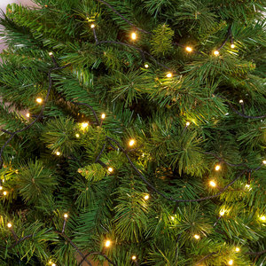Serie di Luci LED a Catena Lineare 'tl-C' 500 LED Bianchi - 22 M. (20+2) - Product Image 1