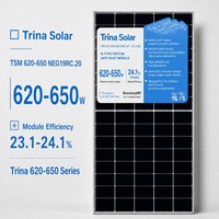 Module solaire Trina Solar N-Type Con double vitrage 620-650W 132 cellules demi-coupées pour projets commerciaux sur toits et installations au sol