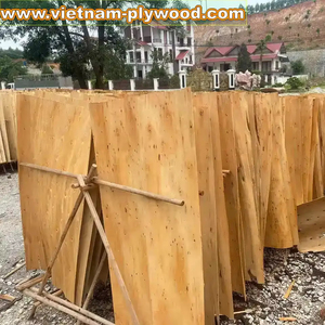 Vietnam Factory Export High Quality Eucalyptus Core <b>Veneer</b> Best Price for India Market-HCPLY LUCYPLYWOOD - Product Image 1