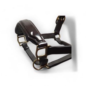 Licol en cuir de cheval dos nu rembourré avec muserolle verni et large bandeau marron - Product Image 3