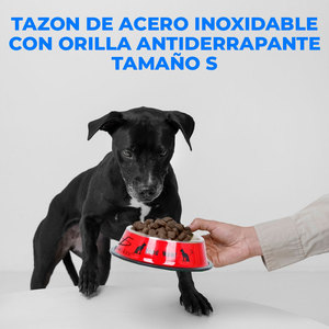 Ciotola per Animali Domestici 2 in 1 in Acciaio Inox con Base Antiscivolo, Distributore Automatico di Cibo e Acqua Ricaricabile - Product Image 3