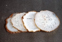 Tranche de dessous de verre en Agate de sel blanche, 1 pièce, de grande qualité, avec bordure dorée, plaqué, vente en gros