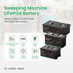 Verbesserte OEM 25,6V 24V 60Ah 80Ah LiFePO4-Batterie für Elektrische Reinigungsfahrzeuge - Product Image 6