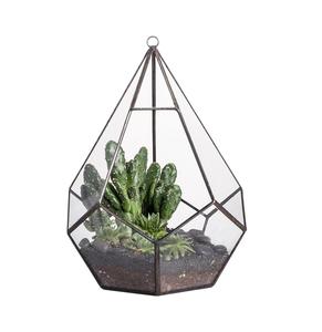 Excellent Quality Glass Terrarium For Decoration Best Selling Living Room or Dining Room Decoration Bulk Quantity Available. - Product Image 5