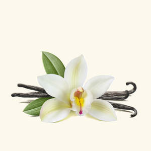 น้ำมันกลิ่นวานิลลา สารแต่งกลิ่นคุณภาพสูง - Product Image 1