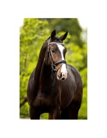 Bride de cheval anglaise personnalisable de qualité supérieure, bandeaux à trois rangées de cristaux, équipement en cuir équin, accessoires équestres