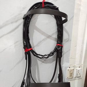 Brida de Cuero Premium para Doma Clásica, Negra, con Banda Frontal Simple y Banda Nasal Negra, a Precio de Mayoreo. - Product Image 1