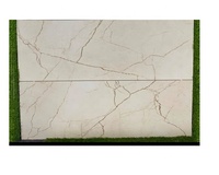 Porcelana portuguesa 60x60 60x120 Azulejos de porcelana Azulejos de talla antideslizante de fábrica India para construcción de baños y casas