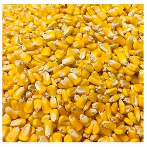Maïs jaune séché non-OGM en gros, grains propres de qualité supérieure, pour l'alimentation humaine, les usines alimentaires, le mouture de maïs et l'alimentation animale - Product Image 6