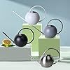 Juego de regadera de acero de 2 colores, regadera para plantas con caño largo, regadera de flores decorativas para plantas pequeñas - Product Image 2