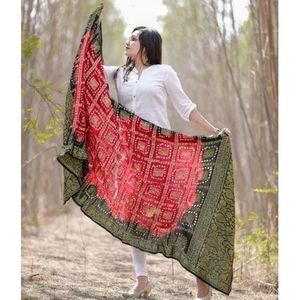 Châle ethnique en satin brodé Gharchola Bandhej de haute qualité, multicolore, en soie et dentelle bleue, idéal pour la saison hivernale - Product Image 6