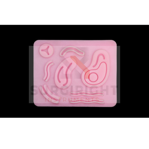 Surgical Suture Practice <b>Kit</b> for <b>Medical</b> Students Anatomical Model Manikin for Suturing Practice By Surgiright Instruments - Product Image 5