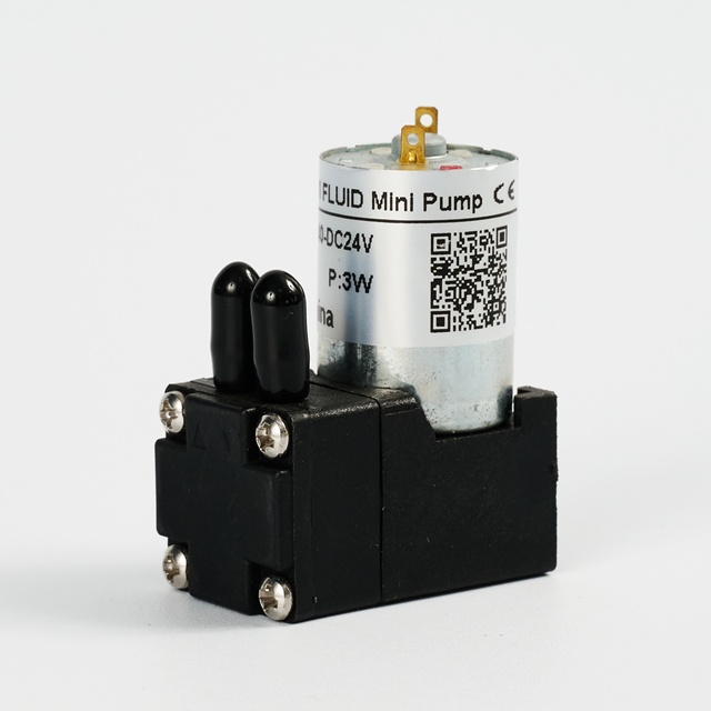 Liquid 160ml/min 12v 24v Self-priming High Vacuum Mini Water Pump