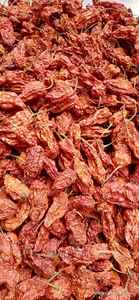 Pimiento fantasma Capsicum chinense, especia premium, hierba individual, paquete a granel, chile súper picante, condimento culinario, pimiento seco natural, exótico - Product Image 2