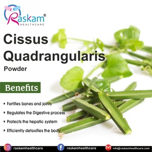 Proveedor directo de fábrica de polvo de proteína natural Cissus Quadrangularis Servicio OEM/ODM para adultos y niños - Product Image 3