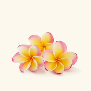 Aceite perfumado con aroma a frangipani - Product Image 2