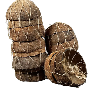 Matériel de coquille de noix de coco crue en gros disponible pour la gestion des déchets agricoles avec livraison rapide et qualité supérieure - Product Image 4